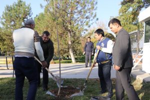 Read more about the article “Yashil makon”: planting works continues…